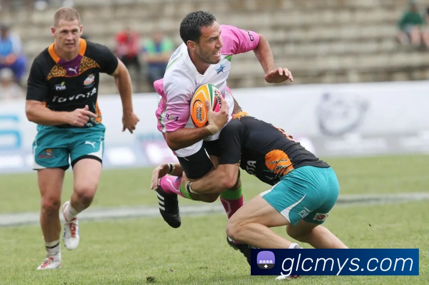 zoty中欧发展历程