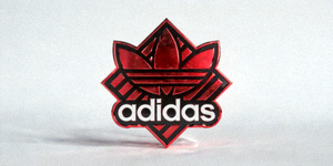 合作伙伴知名体育品牌标志：一个全球知名运动装备品牌的Logo